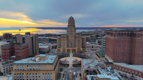 Buffalo